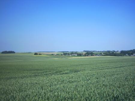 Vue de Sart Risbart