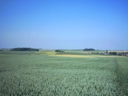 Vue de Sart Risbart