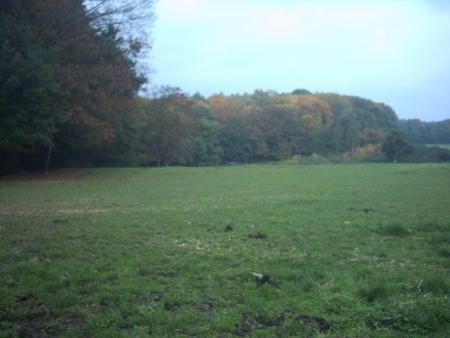 Lasnes