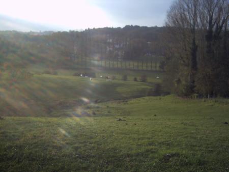 Lasnes